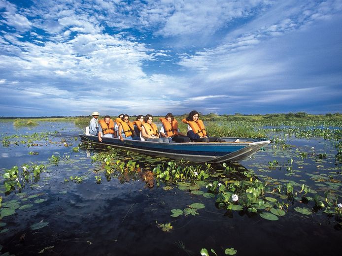 Passeio de barco pantanal